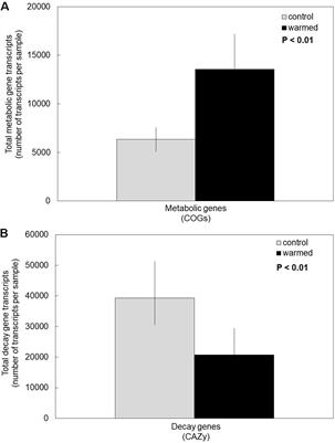 Soil Metatranscriptomes Under Long-Term Experimental Warming and Drying: Fungi Allocate Resources to Cell Metabolic Maintenance Rather Than Decay